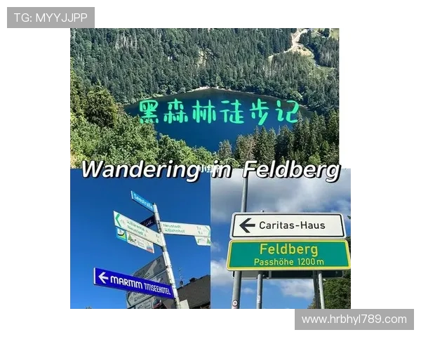 黑森林奇迹：弗赖堡生态城市与青训圣地的双重面貌与发展模式探索